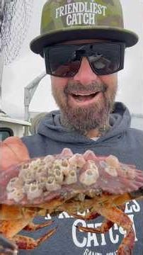 Barnacle Chronicles #friendliestcatch #barnacleremoval