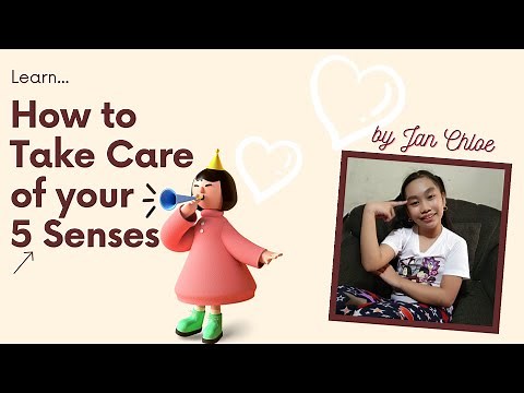 Grade 3 Science: How to Take Care of Your 5 Sense Organs
