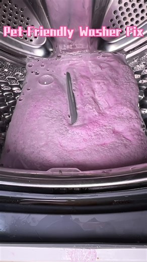 Effortless Washer Cleaning for Dog Owners
