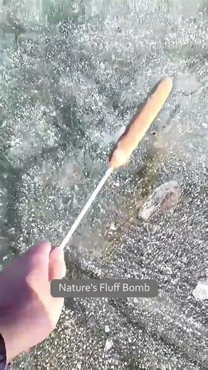 The Most Satisfying Explosion in Nature