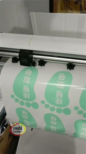 Contour Cutting Plotter Vinyl Cutter With CCD Camerw Cut Images