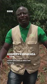 Farmers doubling their crop yields with solar-powered tractor - BBC Africa