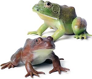 Realistic Tree Frog Figure Plastic Hand Painted Bullfrog Figurine Educational Rubber Animal Model Toys for Kids Children