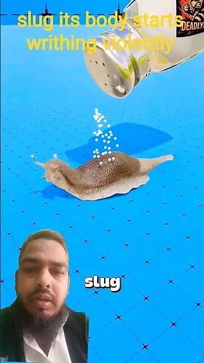 This Is What Salt REALLY Does to a Slug 🤯 | Science Explained#shorts