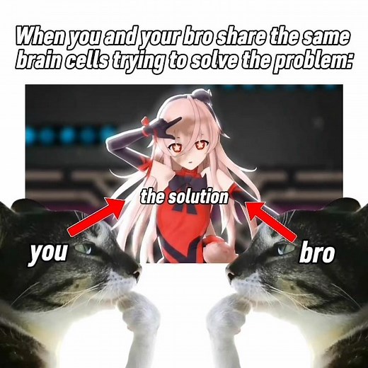 peak solution bro 😎 | #blacksouls #blacksouls2 #meme #Relateable