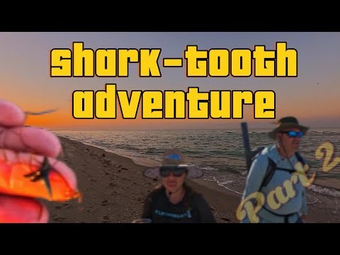 Digging Into Florida’s Fossil Coast | Shark Tooth Hunting at Caspersen Beach #treasure #archeology