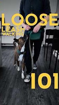 How to teach ANY dog to walk on a loose leash. (EVEN AROUND DISTRACTIONS) #dogtraining