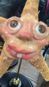 They’re just precious 🥲 | Oddities & Curiosities Expo