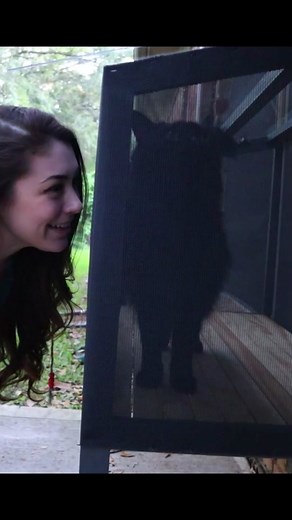 Building a New Catio for Our Cat!