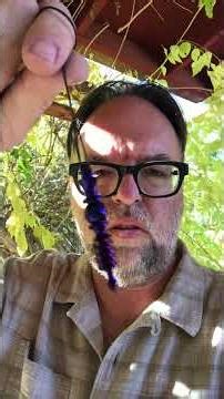 Spell Casting with Pendulums: High-Vibe Techniques for Powerful Manifestation