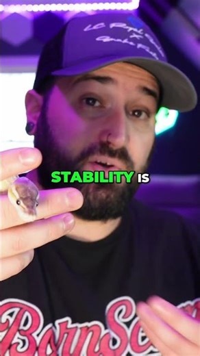 Ball Python Digestion Secrets: Stable Temps Save Lives! #shorts