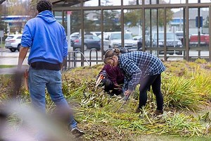 Horticulture/Landscape Specialist