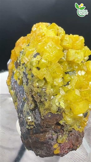 激レア☆ミメタイト（ミメット鉱）Mimetite【Mineral Stone】#Shorts