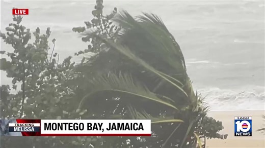 LOCAL 10 IN MONTEGO BAY: Local 10's Aaron Maybin reports live from Montego Bay as Hurricane Melissa makes landfall. READ MORE HERE: https://tinyurl.com/43enw3wr?utm_source=facebook&utm_medium=social&utm_campaign=snd&utm_content=wplg10 | WPLG Local 10