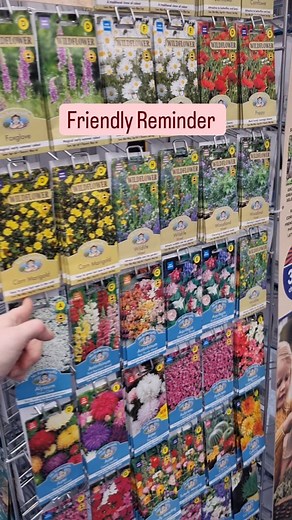 Myrealhomegarden | Learn Easy Gardening | Cut Flower Growing on Instagram: "Let make a start ⤵️ First of all don't lose us, pop us a follow ↗️ We could always use love too ❤️ I'm sharing seed sowing tutorials throughout the next couple of months. I want to help you start your own cut flower garden and can be grown by ANYONE! Enjoy endless flower bouquets with my easy grow flowers that will grow back over and over again over the summer months, some into Autumn too. Let grow together in our garden