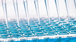 Examples of Hydrolysis: Common Reaction Encounters