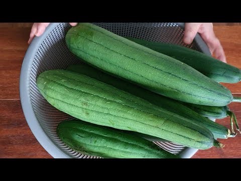 How to Make Fermented Sesame Extract for Asthma and Phlegm Coughs