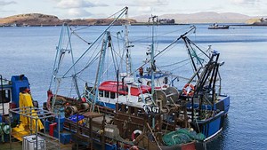 Future of Fisheries in Scotland | Commercial Fishing | Fish Focus