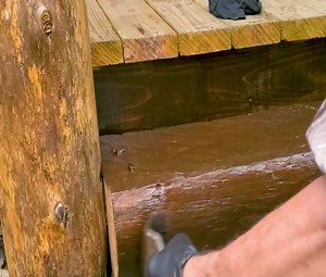Staining and sealing my Forest tiny log home #forest log home | Alone with nature