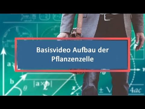 Basisvideo Aufbau der Pflanzenzelle