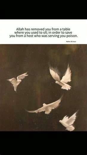 Islam is the Way #islamicmotivation #allah