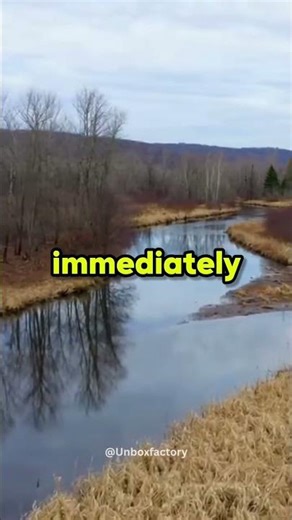 The only animal that is biologically forced to be an engineer... 🦫🤯