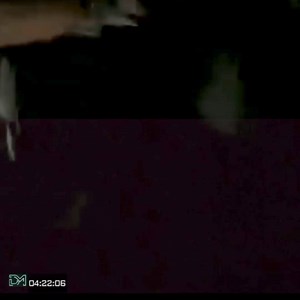 DEWA 19 | Dewi #dhy_musikita #blackboxmusic #music #OldButGold #Dewa19 #Baladewa | 𝙙𝙝𝙮_𝘮𝘶𝘴𝘪𝘬𝘪𝘵𝘢