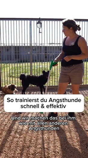 4K views · 25 reactions | Live-Abendvortrag: Nimm deinem Hund die...