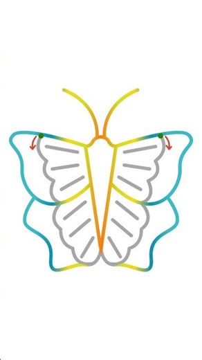 Trace the Butterfly | Detailed Wings