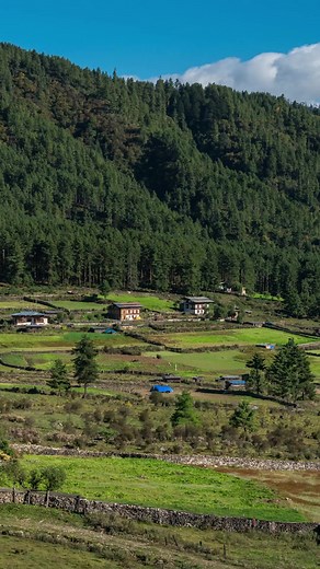 Find out more about the #BETAApp by #DRCBhutan Taxes Matter, Bhutan’s Development is Your Success! #WONGBAB2023 #DepartmentofRevenueandCustoms #DRCBhutan #TaxesMatter Call 3999 or 3998 instead of 1010 | Department of Revenue and Customs, Thimphu Bhutan