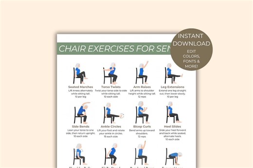 Chair Exercises for Seniors Printable | Gentle Workout Chart | Seated Chair Exercises Poster | Low Impact Full Body Routine - Etsy Canada