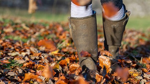 Best wellies for wide calves and adjustable options for all | Horse & Hound