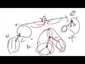 AtCoder Beginner Contest 366