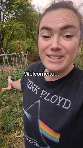 471K views · 25K reactions | Learning Bulgarian is HARD  Добре дошли в моита градина! #ExpatLife #Bulgaria #Bulgarian | The Phoenix Project | Facebook