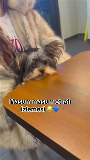 😍😍 #keşfetedüş