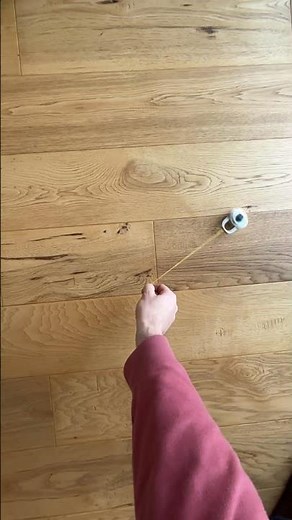 Horizontal Uniform Circular Motion - which way will the mass go when you let go?
