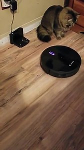 Coredy R550 robot vacuum