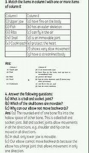 Class 6 | textbook exercise solution | Science - NCERT | Chapter 8 - Body movements...