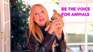 87K views · 935 reactions | Kris Kelly urges the public to give a voice to the animals and always report animal abuse and neglect. She talks about what to look out for and who to call when you see a dog tethered or in a hot car and more. | The Kris Kelly Foundation | Facebook