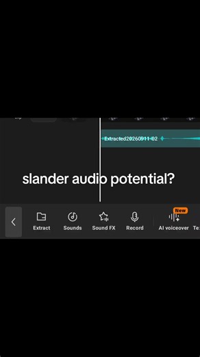 slander audios? #slanderaudiopotential #slanderaudio #slander | cringe audios from 2020