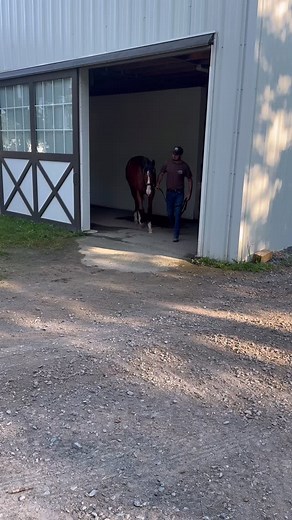 POV: A picture-perfect Bond Racing Yearling ✨ VS: The behind-the-scenes hustle that makes it all happen 💪🐴 A little throwback to our annual Bond Racing partnership party - always a highlight of the summer! Huge thanks to our amazing Song Hill team for the care, prep, and heart they put into these horses every day - and to our wonderful Bond Racing partners for making our yearling show and appreciation party so special! Partnerships opportunities available, learn more at the link in bio. 🔗 #tb