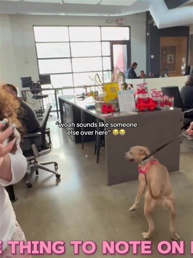 Baby Seal's ADHD & Funny Moments