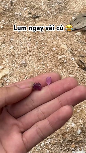 Lúa về lúa về #daquy #daquyla