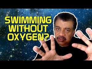 Jiggle Wiggle Waggle Walk with Charles Liu - Cosmic Queries