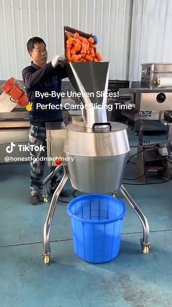 Perfect Carrot Slicer for Even Slices Every Time