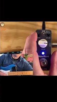 Best Budget Shimmer Reverb? Mooer ShimVerb Pedal #Shorts #guitarpedals