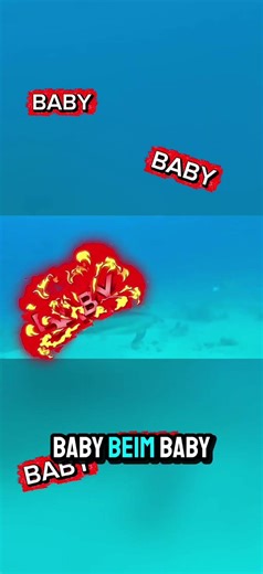 Baby Burger was ist wirklich dran? #burger #delphin #memes