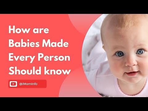 How Babies Are Made: Exploring the Process - MomInfo