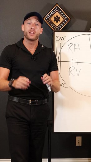 15K views · 539 reactions | Heart Blood Flow: Part 1 #cardiology #cardiac #cardiovascular #anatomy | The Paramedic Coach | Facebook