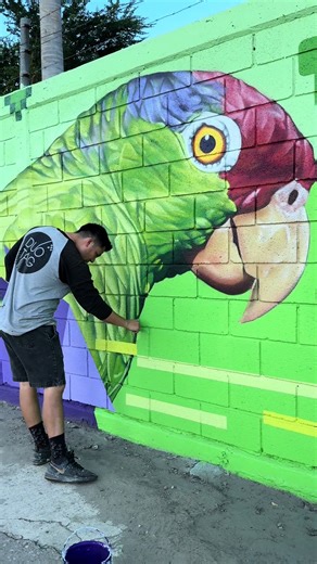Pintando un Muro Largo: Arte Urbano y Cotorros